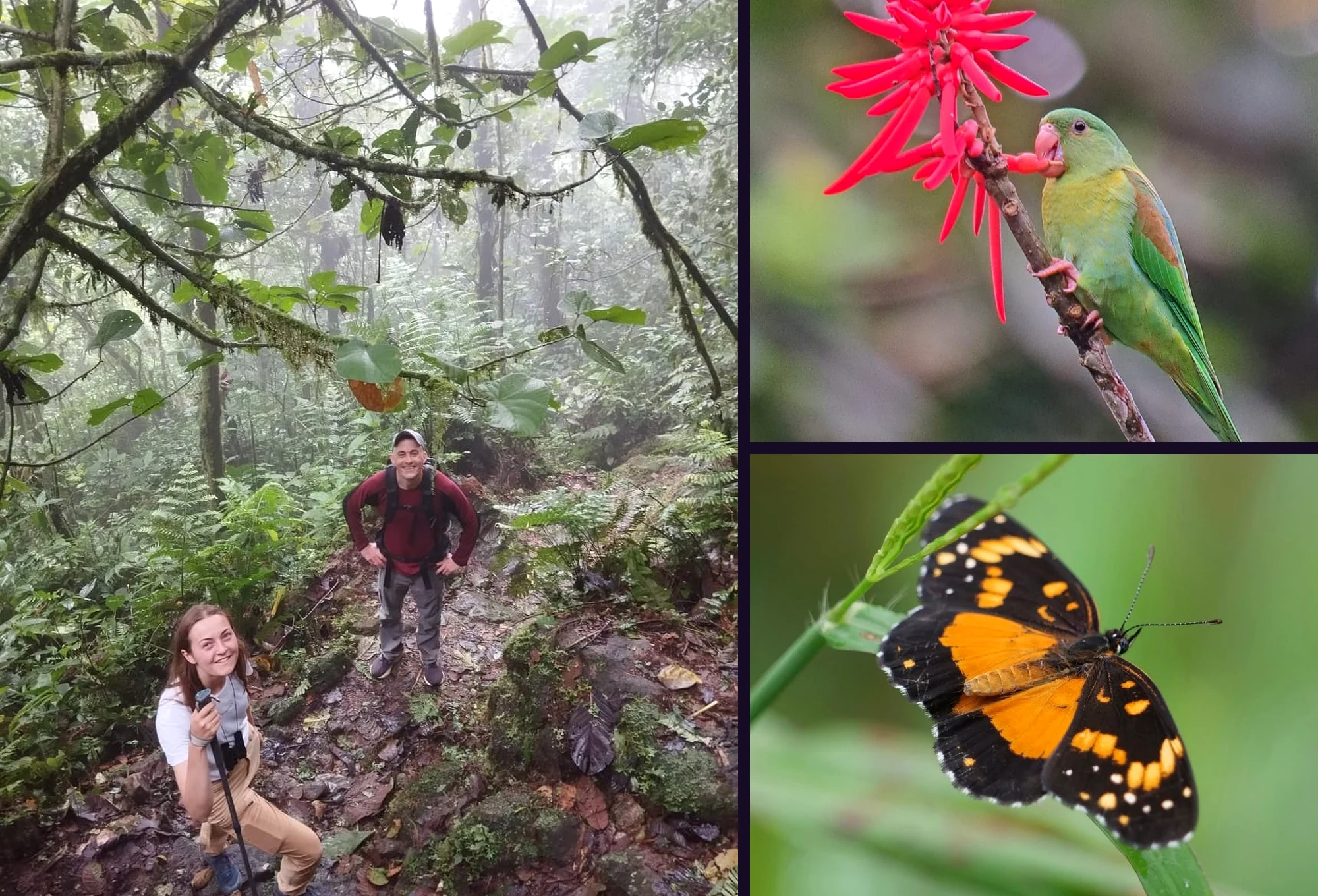 Visual inmersivo del Festival de Aves y Biodiversidad en El Valle