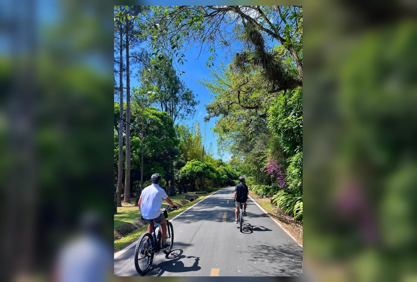 Paseo en E-bike por la Caldera