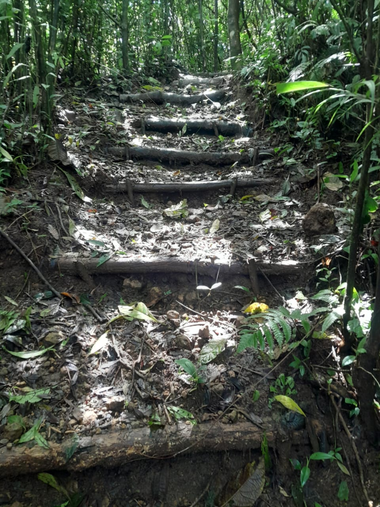 Descubriendo sitio WildLife rumbo a Quebrada Amarilla