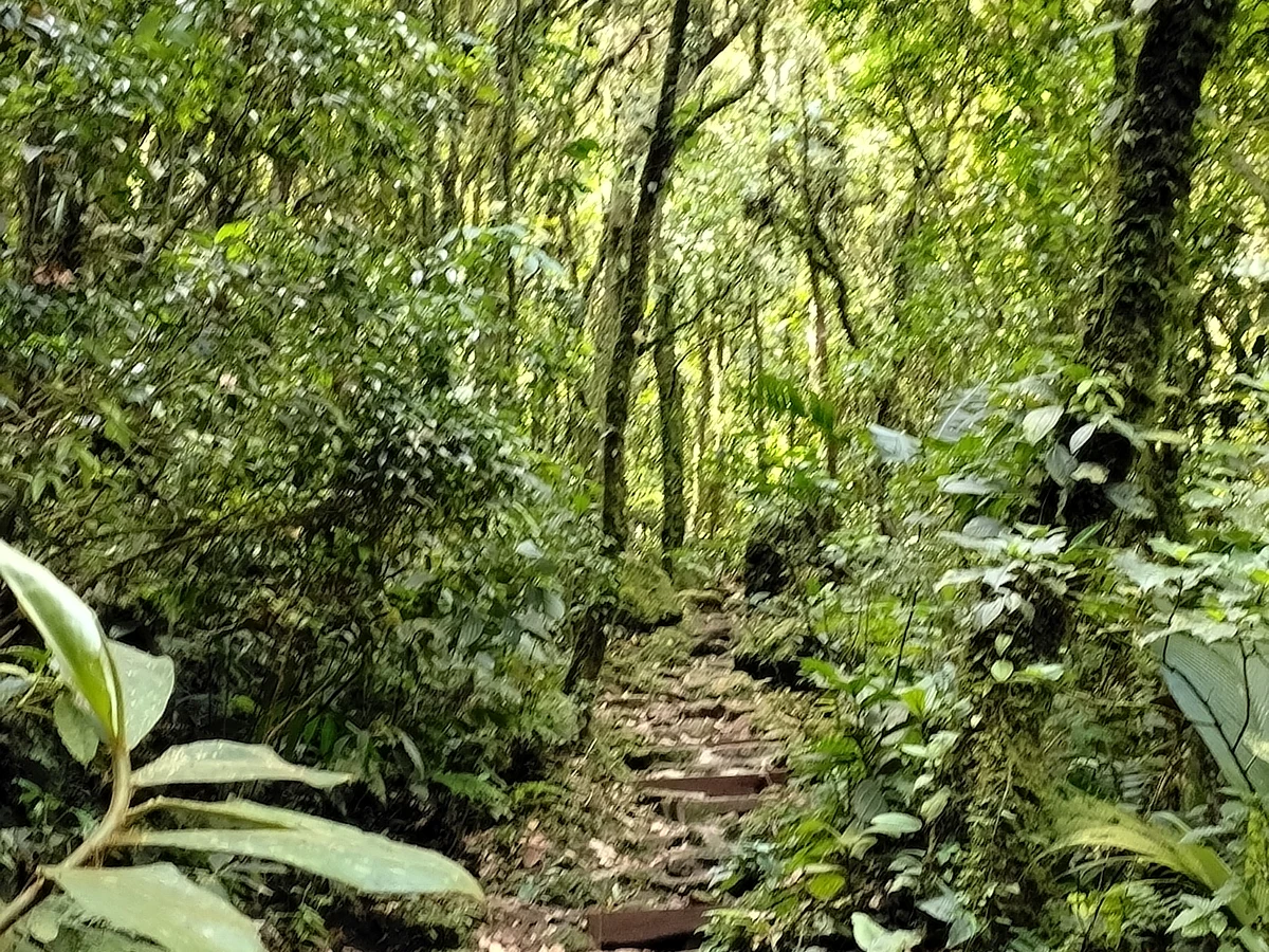 Secretos del Cerro El Gaital